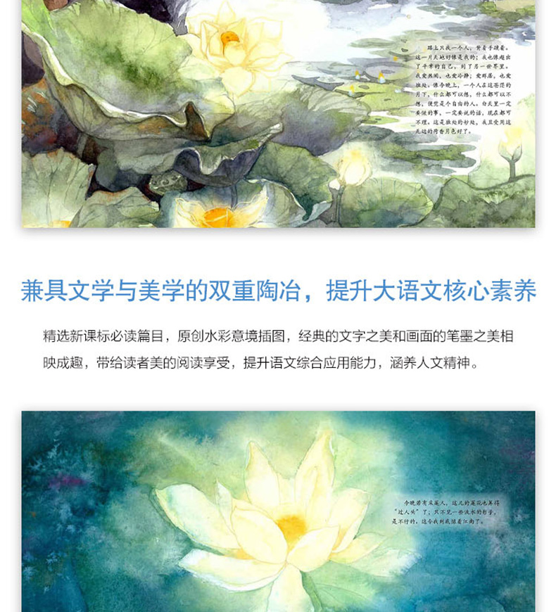 荷塘月色 初中生课外阅读必读书籍 初中语文基础知识书籍 初中语文阅读能力提升 初中老师推荐课外阅读书籍朱自清作河南大学出版社