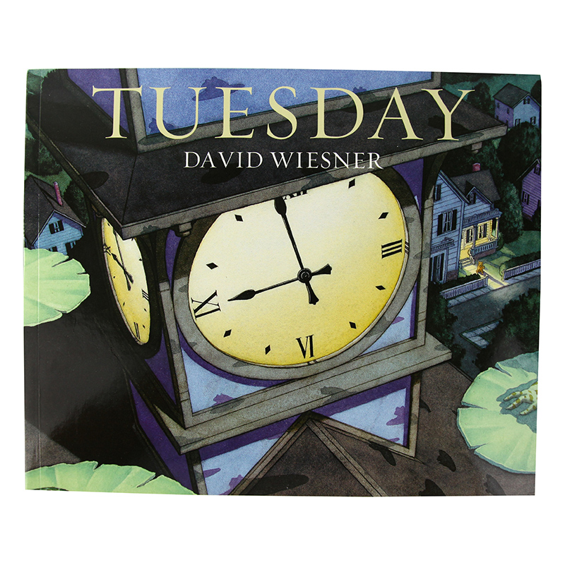 Three Pigs FlotsamTuesdayMr Wuffles，Art&Max 疯狂星期二迪克银奖 David Wiesner 5册 英语启蒙绘本 宝宝英语绘本 w0808