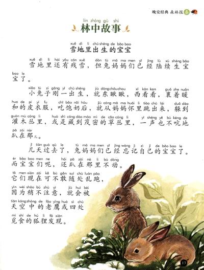 包邮森林报(彩图注音版)/晚安经典 彩书坊珍藏版 3~6~10岁儿童科普读物 课外故事书 精装塑封 彩图注音 环保油墨 不伤手 不伤眼
