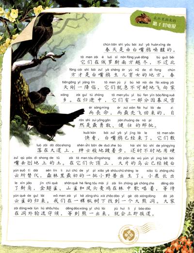 包邮森林报(彩图注音版)/晚安经典 彩书坊珍藏版 3~6~10岁儿童科普读物 课外故事书 精装塑封 彩图注音 环保油墨 不伤手 不伤眼