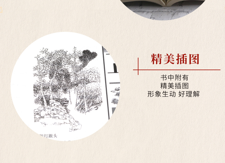 【全6册典藏版】中华典故+歇后语+寓言故事+经典名句+名言警句+名人名言中华上下五千年成语典故名人故事大词典青少年学生成人书籍