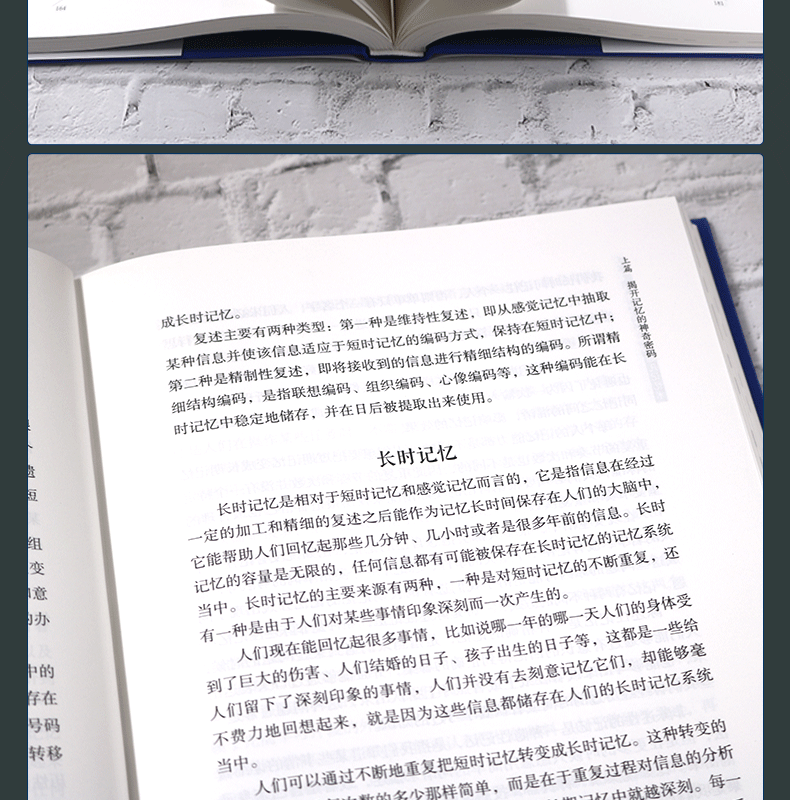 看完就用，能用一辈子的超凡记忆术 典藏版（新版布面精装）桑楚 朱建国 著中智博文/记忆大脑潜能指南书籍 中国华侨出版