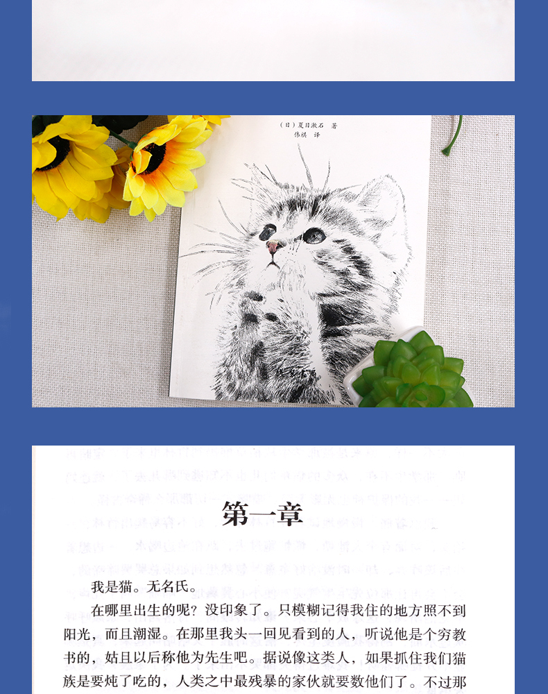 小说无删减经典文学世界名著畅销书籍我是猫正版书于雷我是猫线装书局