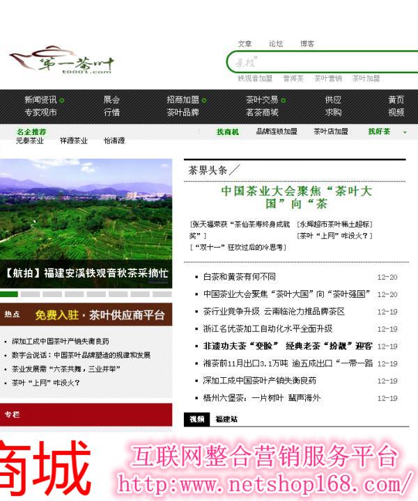 茶叶网软文