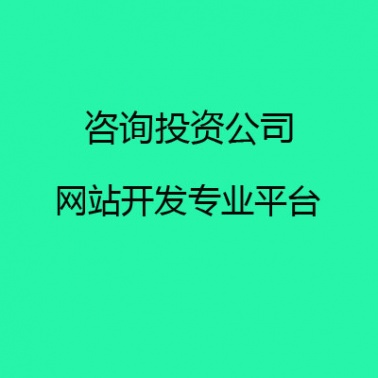 咨询投资公司网站建设定制开发平台