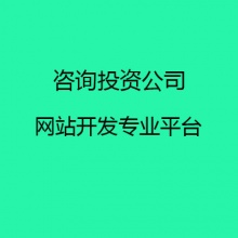 咨询投资公司网站建设定制开发平台