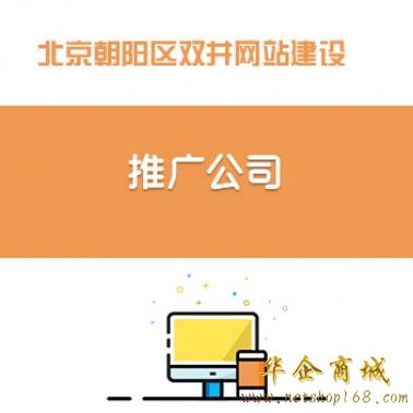 北京朝阳区双井网站建设/推广公司