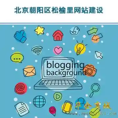 北京朝阳区松榆里网站建设/推广公司
