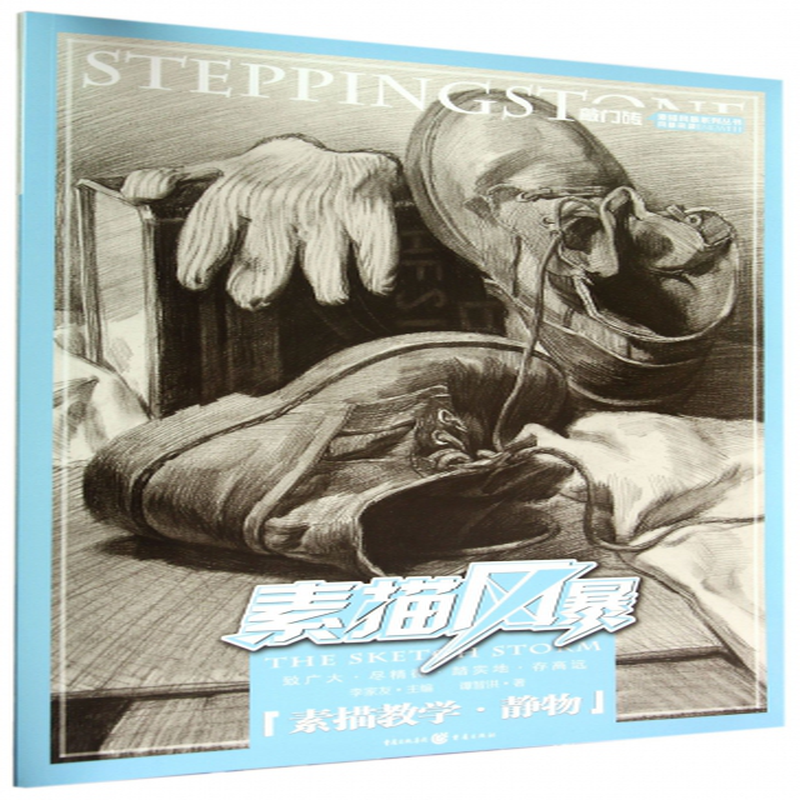 素描风暴素描教学静物敲门砖素描风暴系列丛书谭智洪主编李家友