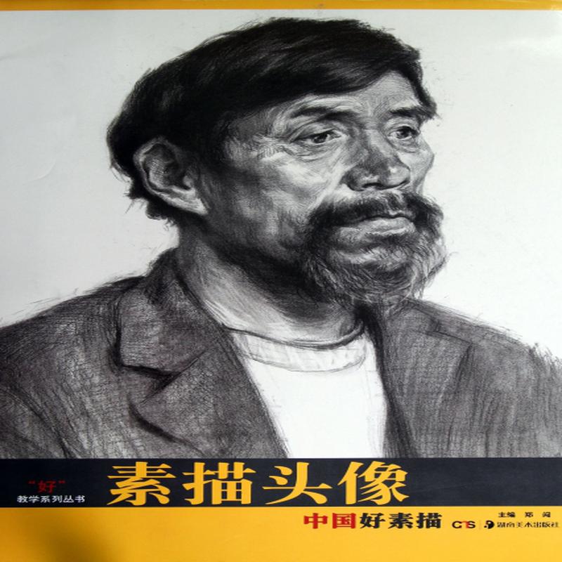 素描头像好教学系列丛书郑闯