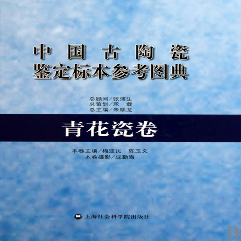 中國古陶瓷鑑定標本參考圖典青花瓷卷精梅亞民陳玉文主編朱順龍攝影成