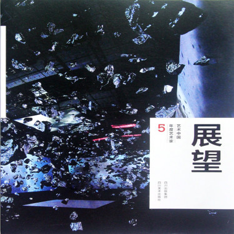 展望艺术中国年度艺术家