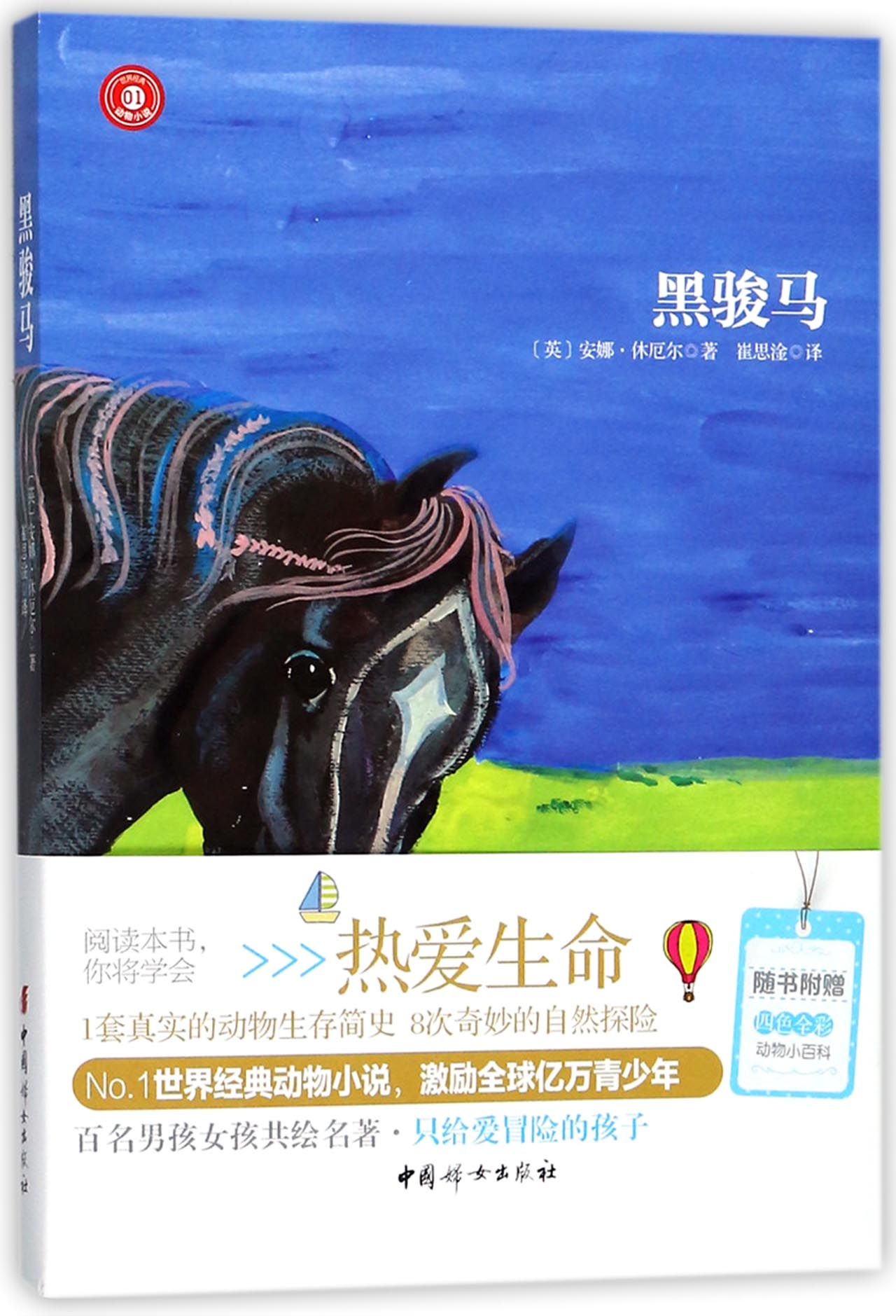 《黑骏马》