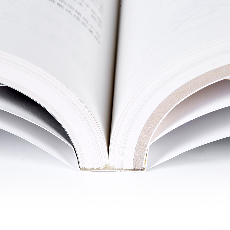 《字体设计100 1》(靳埭强)