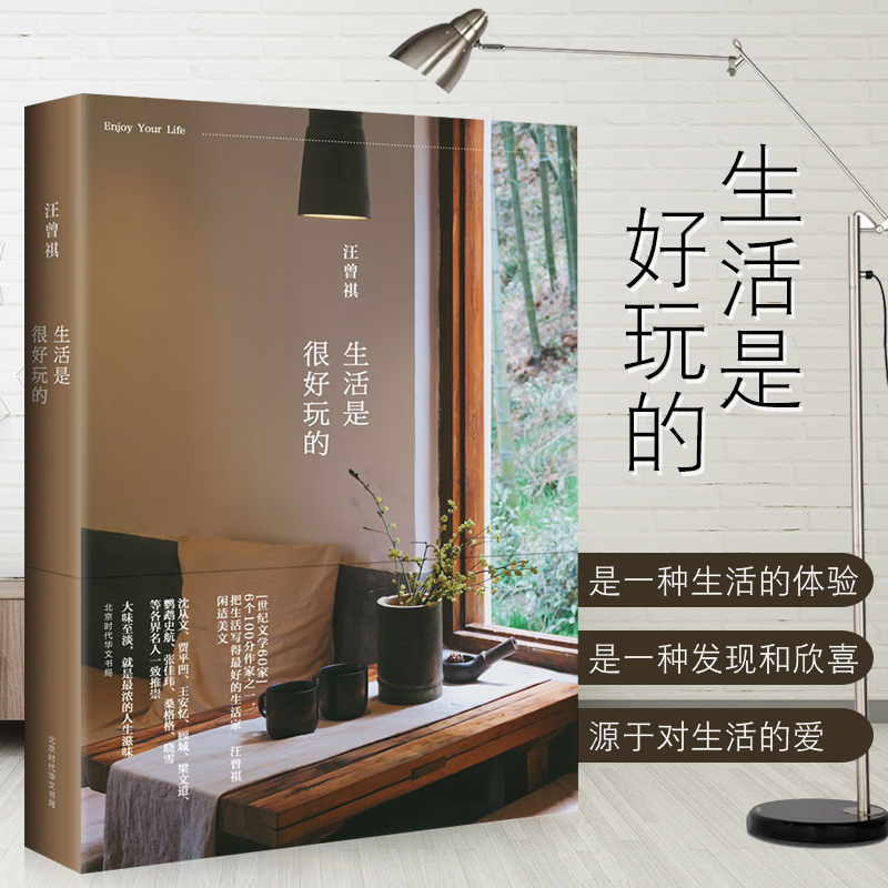 带你发现生活之美 人间草木受戒同作者 汪曾祺散文小说作品集 书籍