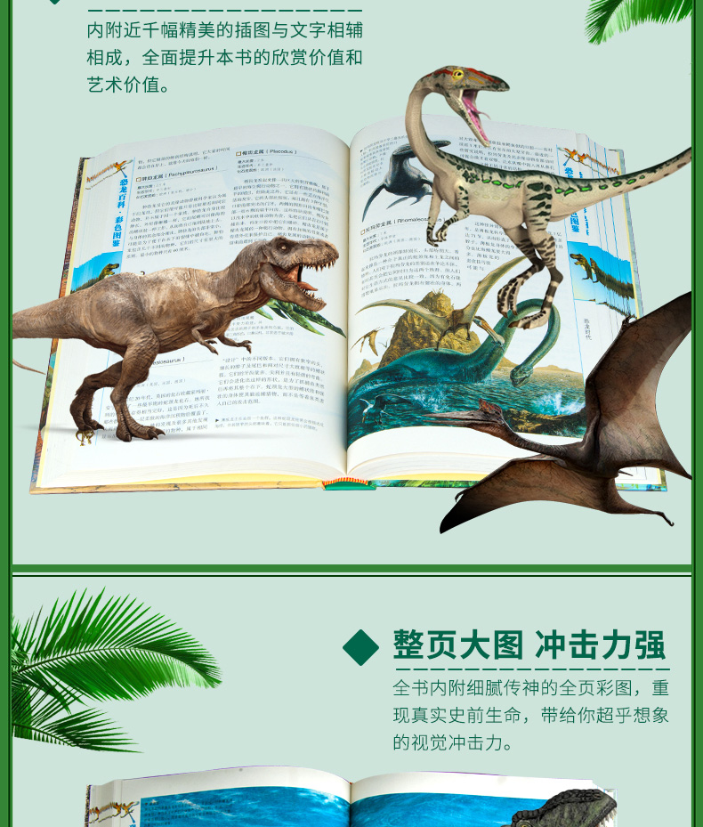 書恐龍百科全書兒童版中小學生恐龍大百科侏羅紀恐龍世界大百科恐龍