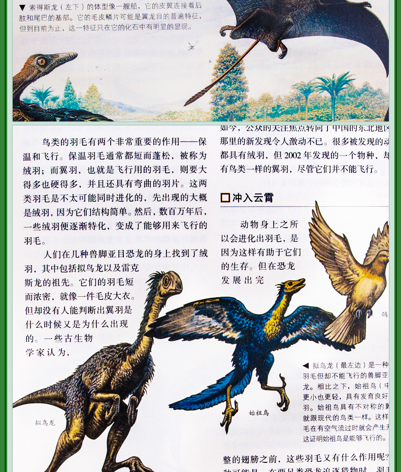 恐龙百科书恐龙百科全书儿童版中小学生恐龙大百科侏罗纪恐龙世界大