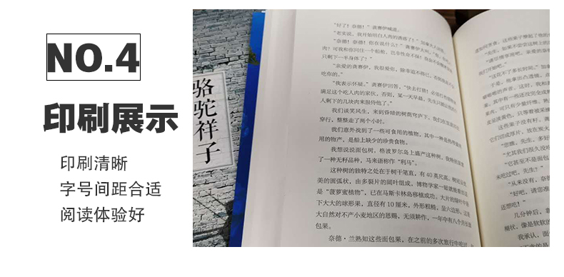 学生成长必读经典名著 海底两万里+骆驼祥子 中小学生必读国家教育部推荐书目 青少年儿童文学故事书 无障碍阅读教辅