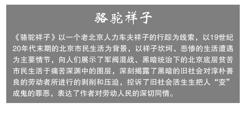 学生成长必读经典名著 海底两万里+骆驼祥子 中小学生必读国家教育部推荐书目 青少年儿童文学故事书 无障碍阅读教辅