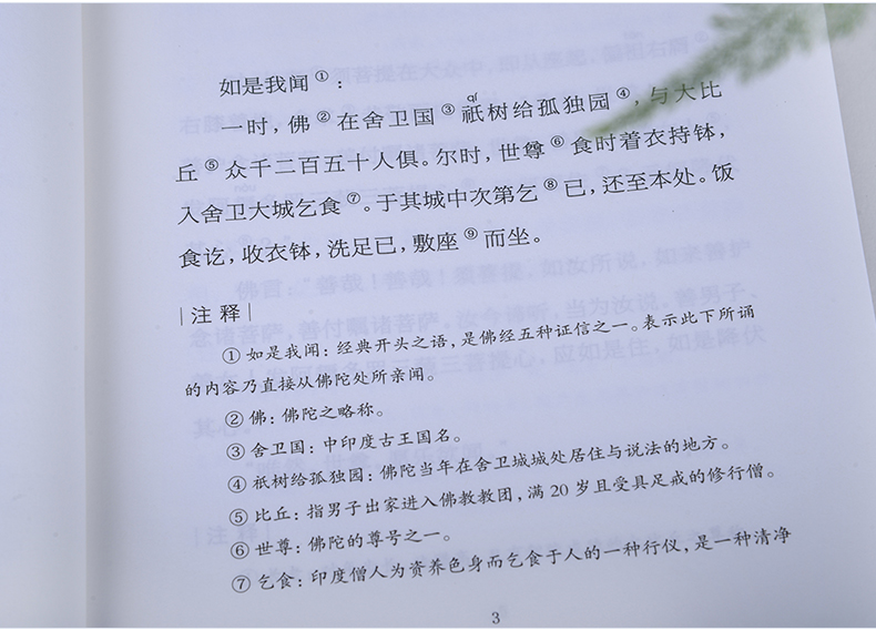 佛教十三经正版全套金刚经心经无量寿经六祖坛经楞严经法华经佛经故事佛学入门禅宗经典书籍修身修养静心佛法禅修经书 注音版 善本