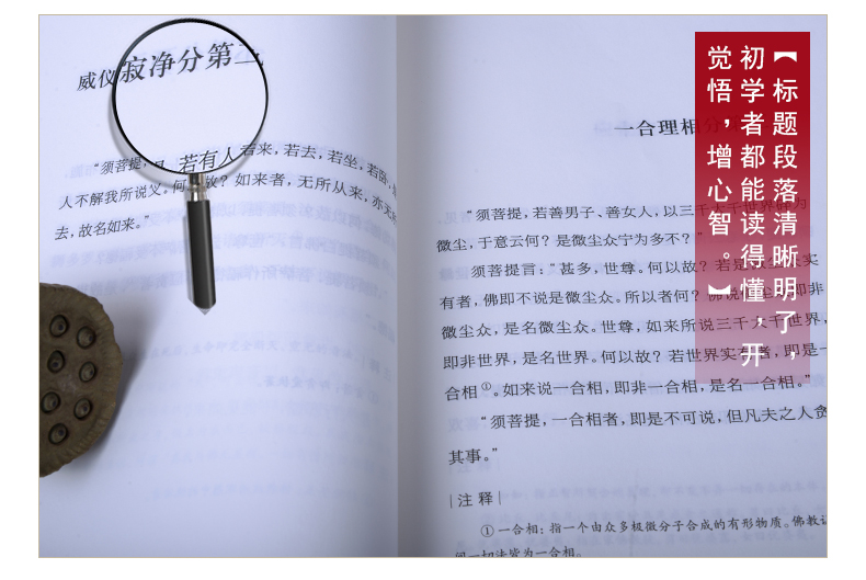 佛教十三经正版全套金刚经心经无量寿经六祖坛经楞严经法华经佛经故事佛学入门禅宗经典书籍修身修养静心佛法禅修经书 注音版 善本