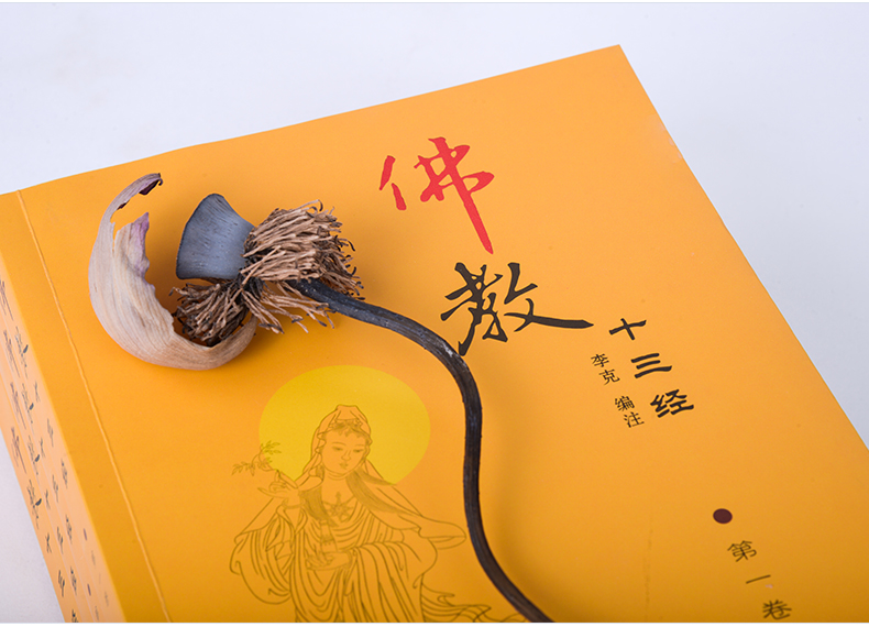 佛教十三经正版全套金刚经心经无量寿经六祖坛经楞严经法华经佛经故事佛学入门禅宗经典书籍修身修养静心佛法禅修经书 注音版 善本