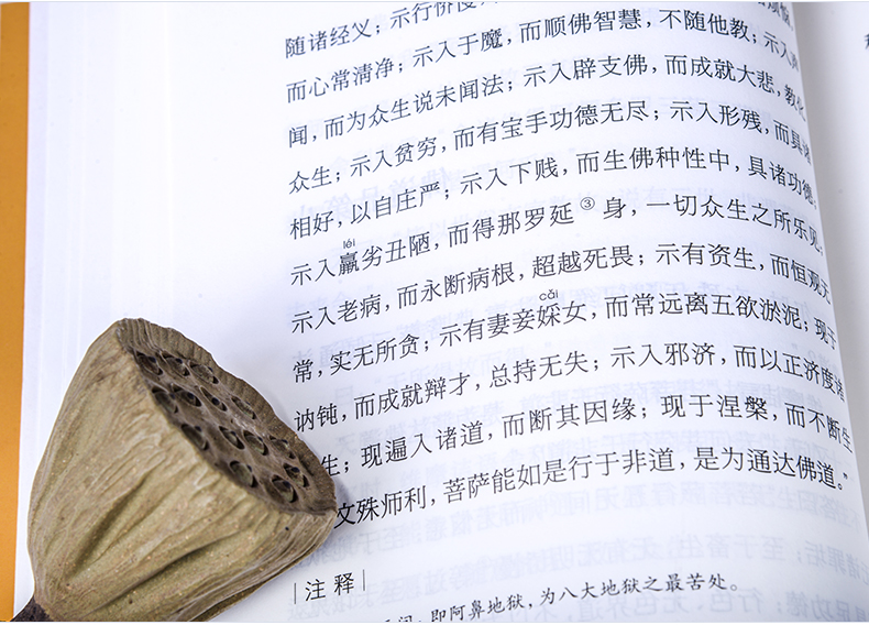 佛教十三经正版全套金刚经心经无量寿经六祖坛经楞严经法华经佛经故事佛学入门禅宗经典书籍修身修养静心佛法禅修经书 注音版 善本