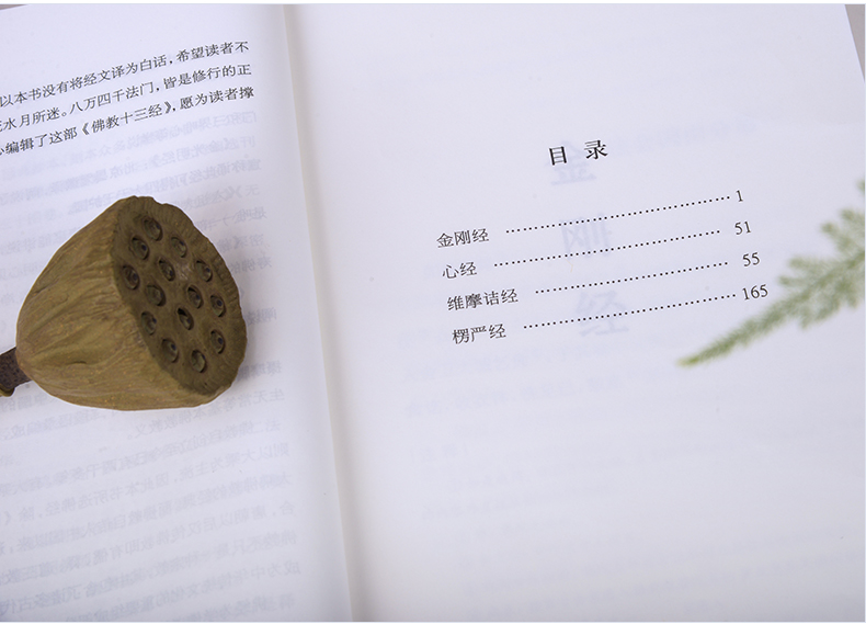 佛教十三经正版全套金刚经心经无量寿经六祖坛经楞严经法华经佛经故事佛学入门禅宗经典书籍修身修养静心佛法禅修经书 注音版 善本