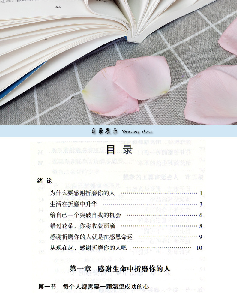 人生成长修炼课：感谢伤害你的人平装定价45吉林文史不抱怨一切都会好感谢折磨你的人别跟自己过不去总有一次流泪瞬间正版书籍