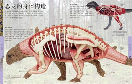 懒猛犸宝宝莱巴真猛犸大象的家族火山落灰骨床犀牛砂犷兽马类后弓兽