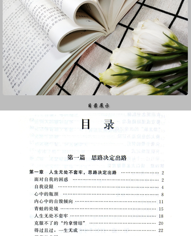 5册管理书籍 思路决定出路+别输在不懂管理上+三分管人七分做人+管人识人用人+不懂带团队你就自己累 领导企业销售营销心理学入门