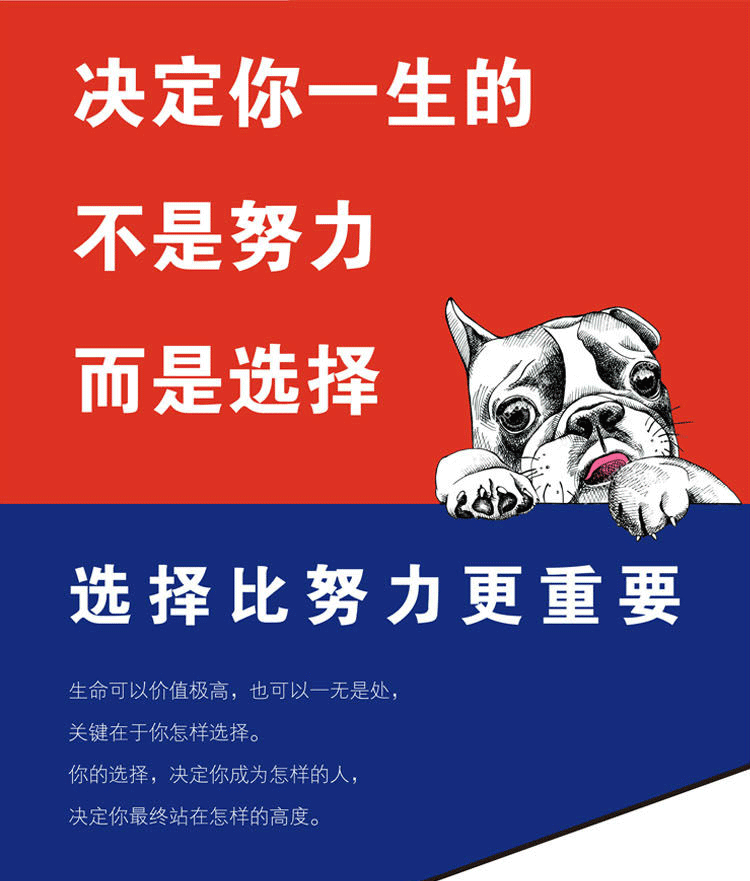 正版 决定你一生的不是努力而是选择  习惯的力量是*大的 但是我们可以选择尝试新的事物 红色