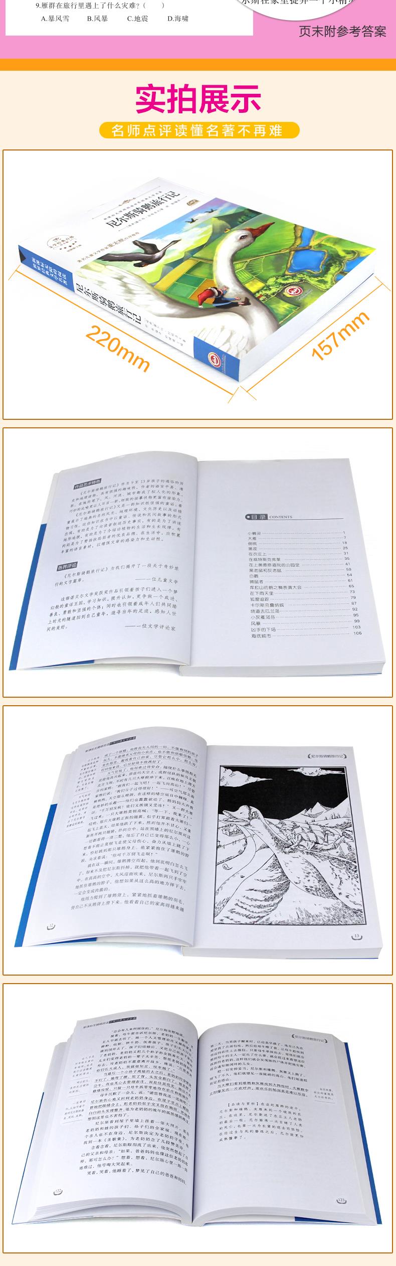 《尼尔骑鹅旅行记》