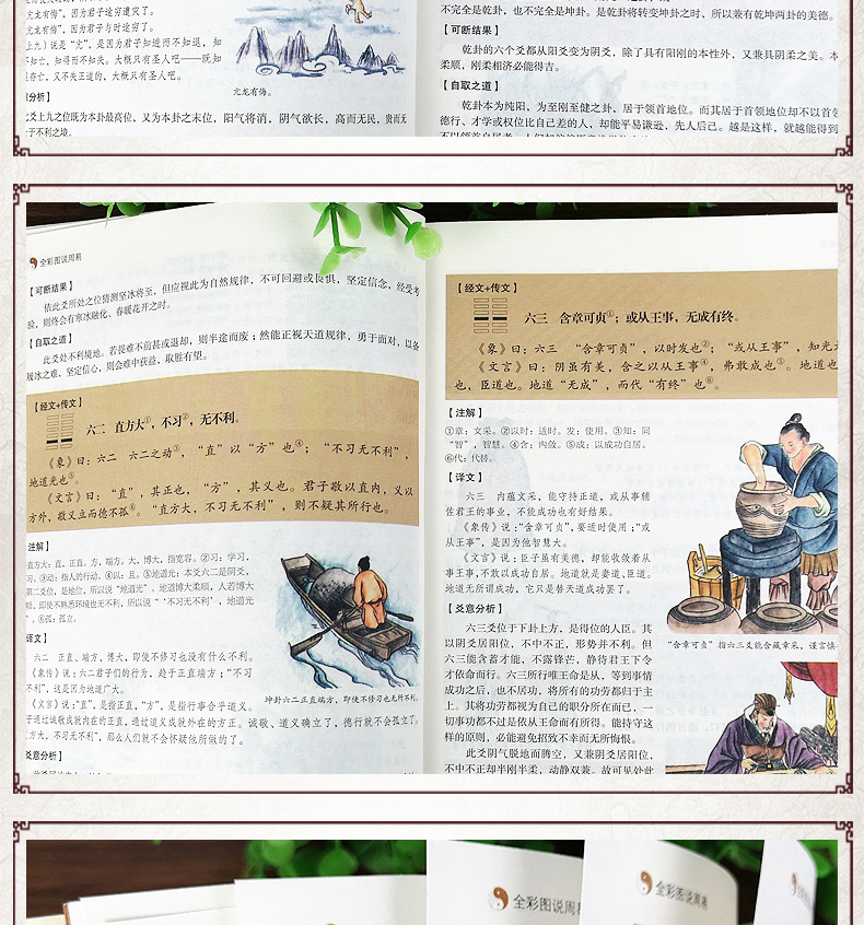 全彩图说周易 图解易经 风水学五行书籍推背图周易全书正版国学书籍全套易经入门道德经占卜算卦预测学中国哲学