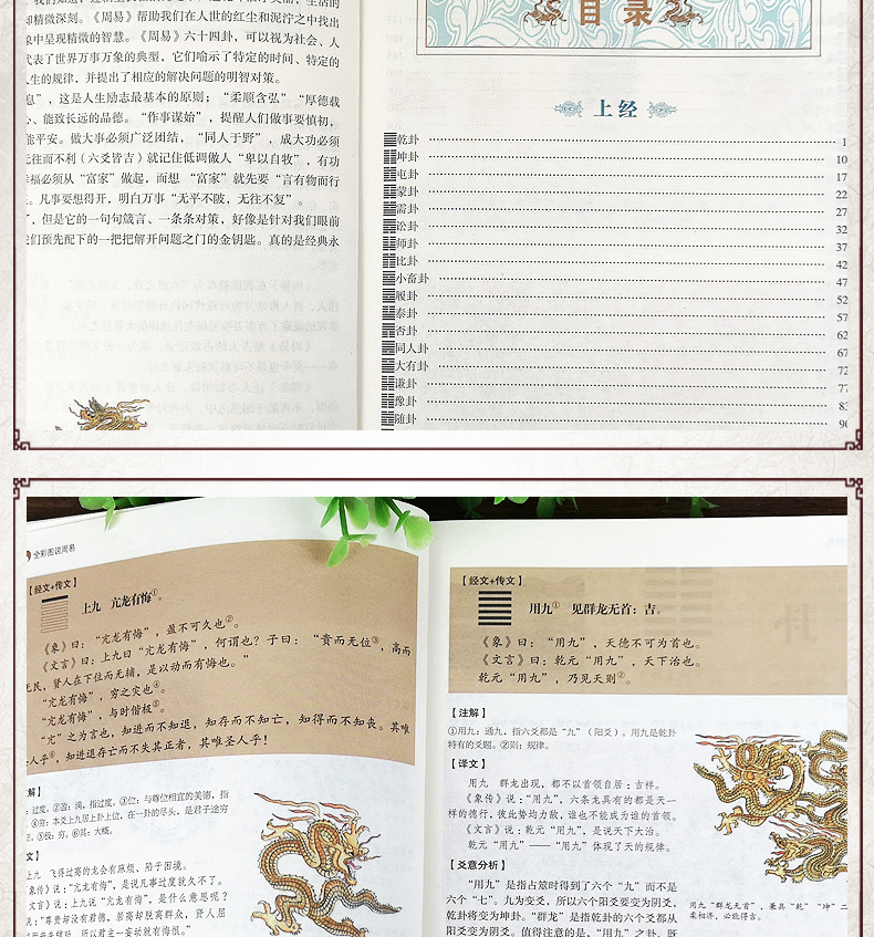 全彩图说周易 图解易经 风水学五行书籍推背图周易全书正版国学书籍全套易经入门道德经占卜算卦预测学中国哲学