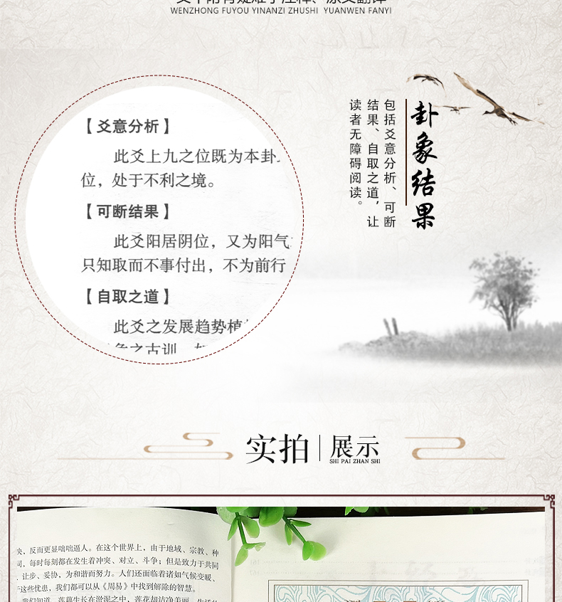 全彩图说周易 图解易经 风水学五行书籍推背图周易全书正版国学书籍全套易经入门道德经占卜算卦预测学中国哲学