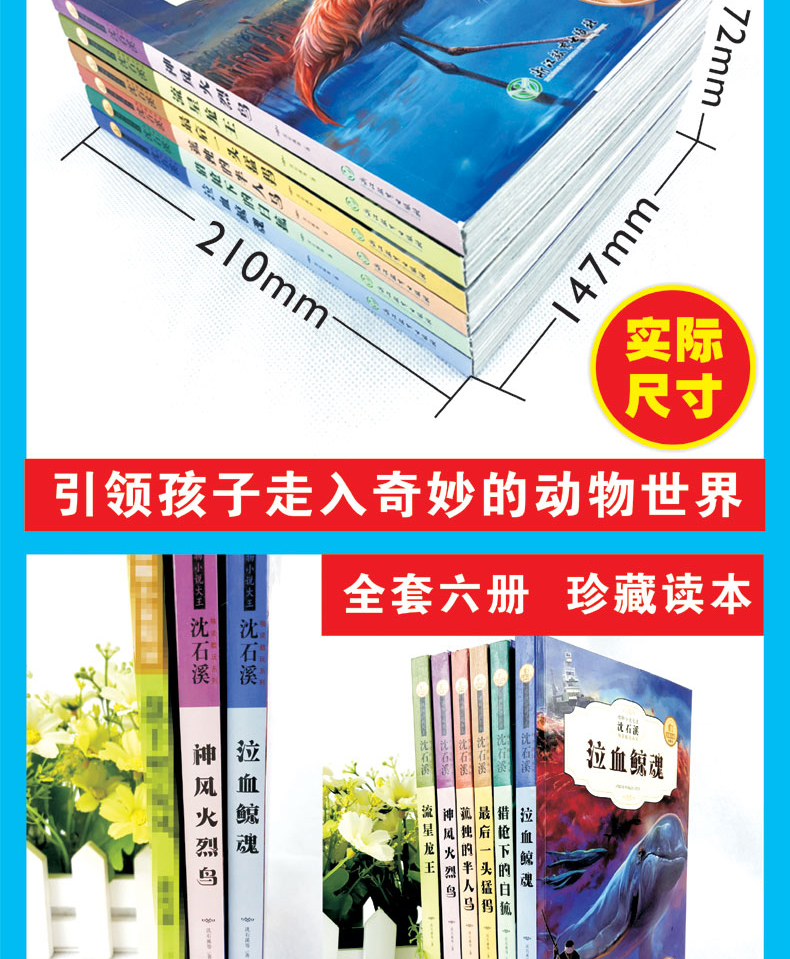 全6册沈石溪动物小说全集系列全套正版沈石溪的书装神风火烈鸟最后一头猛犸泣血鲸魂猎枪下的白狐孤独的半人马流星龙王小说故事书