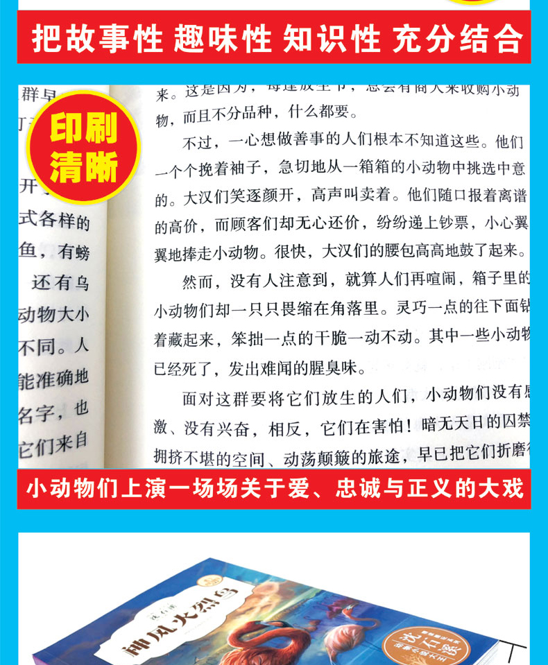 全6册沈石溪动物小说全集系列全套正版沈石溪的书装神风火烈鸟最后一头猛犸泣血鲸魂猎枪下的白狐孤独的半人马流星龙王小说故事书