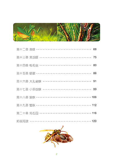 昆虫记彩图注音版小学生一二年级课外阅读书籍儿童读物 7-10岁名校班主任推荐小学生语文新课标书系bw