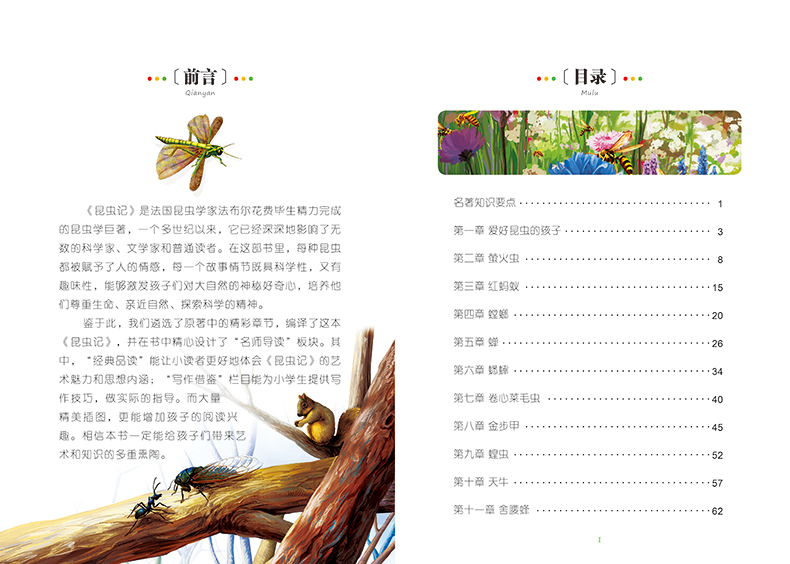 昆虫记彩图注音版小学生一二年级课外阅读书籍儿童读物 7-10岁名校班主任推荐小学生语文新课标书系bw