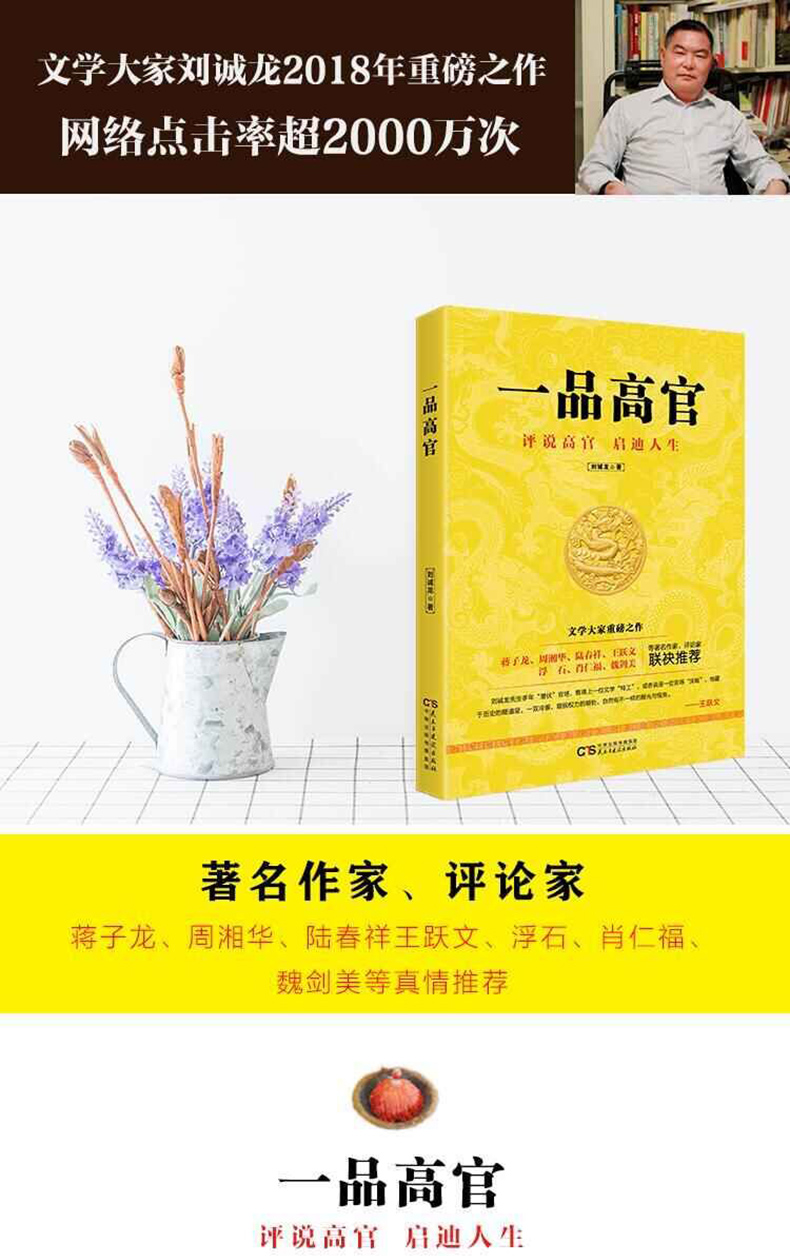 一品高官 官场历史人物传记王跃文推荐曾国藩左宗棠李鸿章张之洞中国历史故事书籍