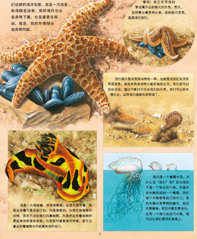 全套4册动物王国大探秘正版书听海洋生物讲故事听恐龙讲故事听昆虫讲