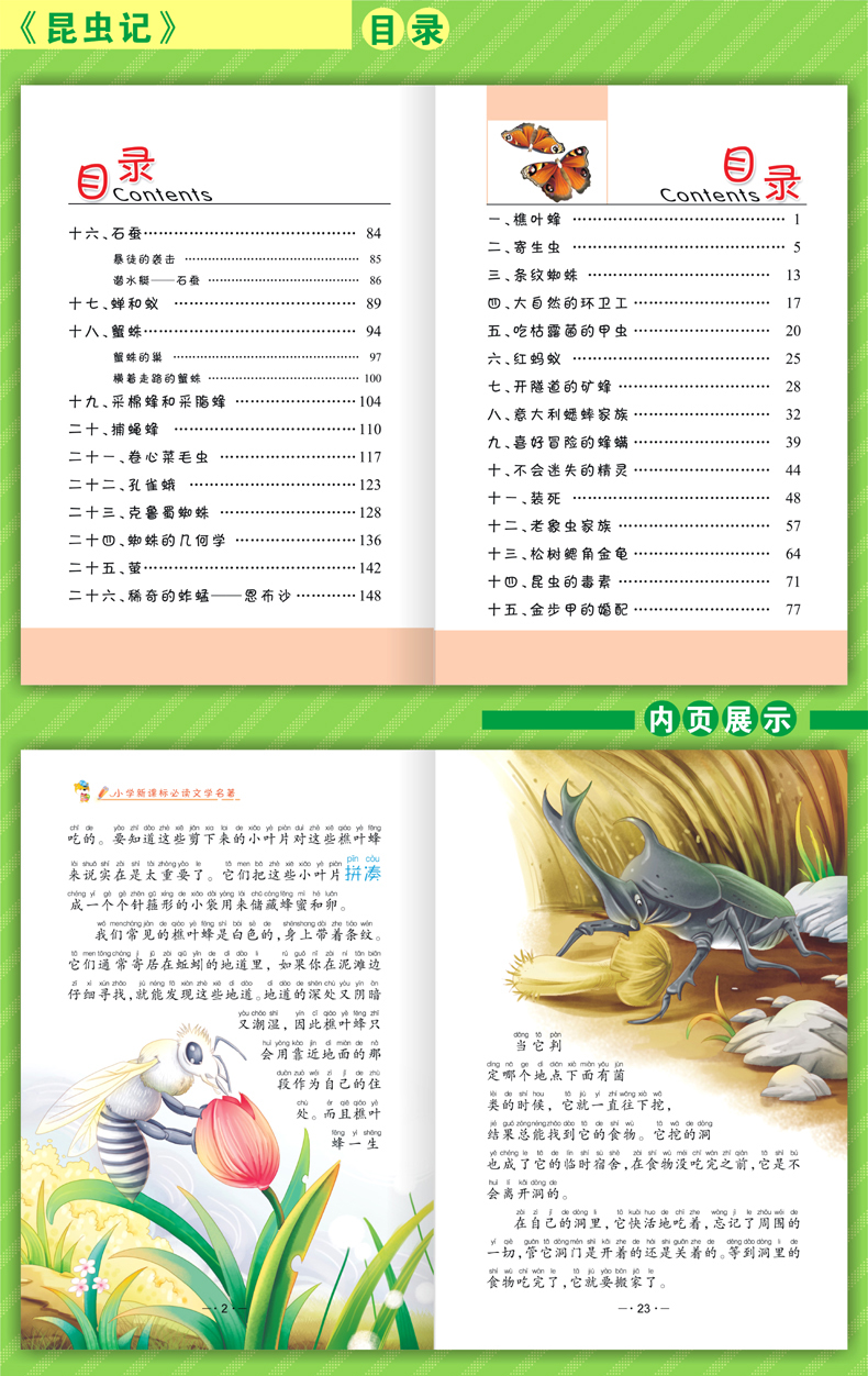 小学生语文新课标课外阅读 文学名著10册彩图注音版7-12岁少儿童图书拼音读物 绿野仙踪