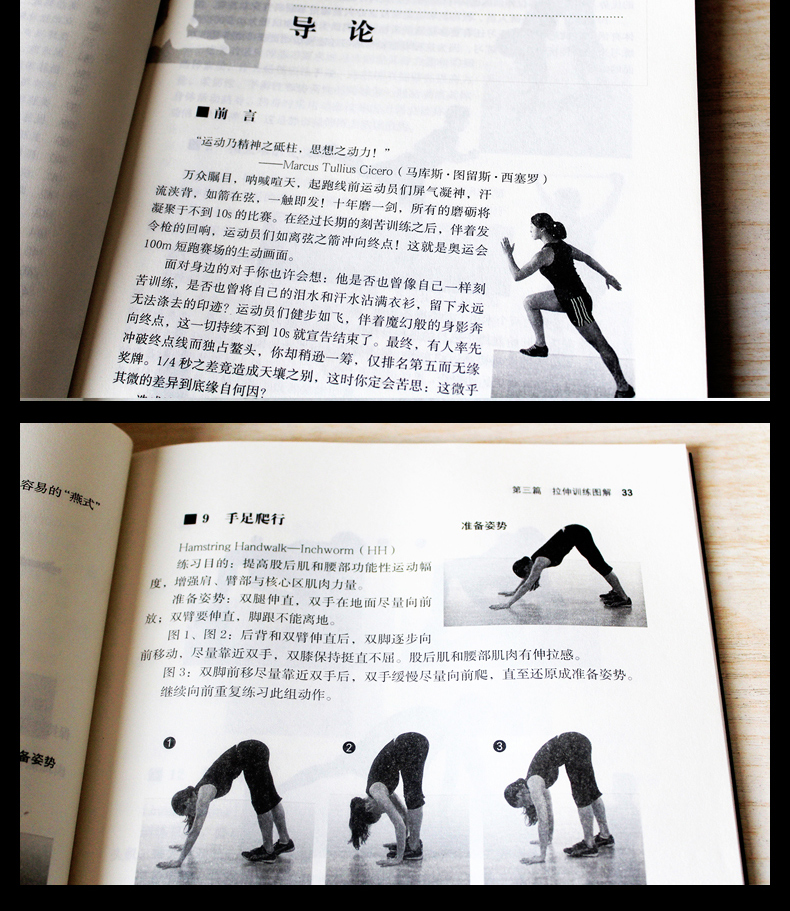 现货 动态拉伸训练 创新热身方法 提高肌肉力量 强化动作技术 增加动