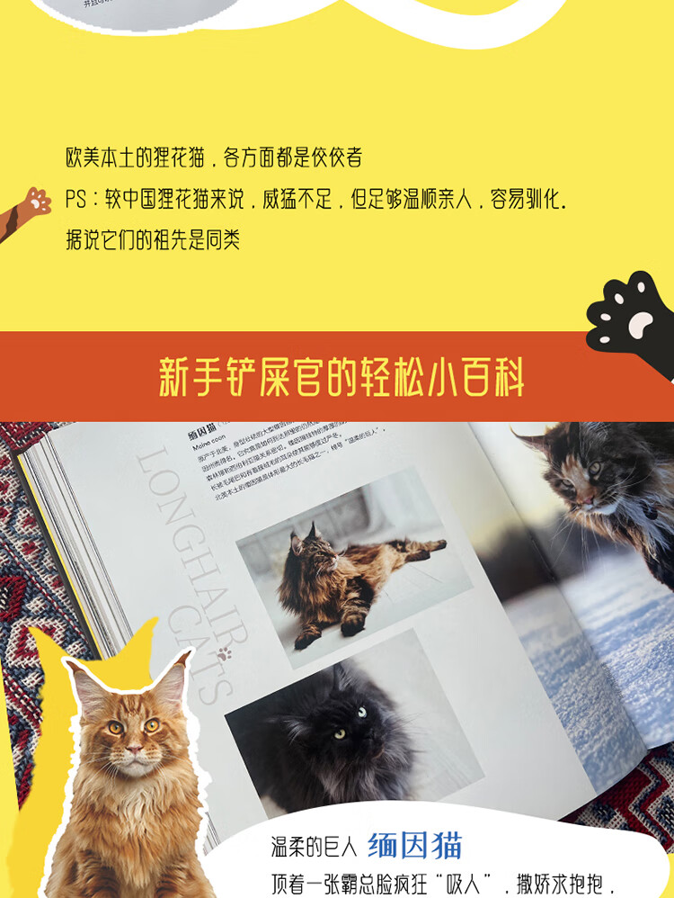 猫（野猫家猫百科大全，85种世界名猫，35种野生猫科动物） [希] 朱莉安娜·普洛斯 著，历史独角兽，呆头 译 中国友谊出版公司