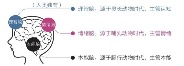 《认知觉醒》（作者：洞见·瑾山月)一本专注个人成长的工具书