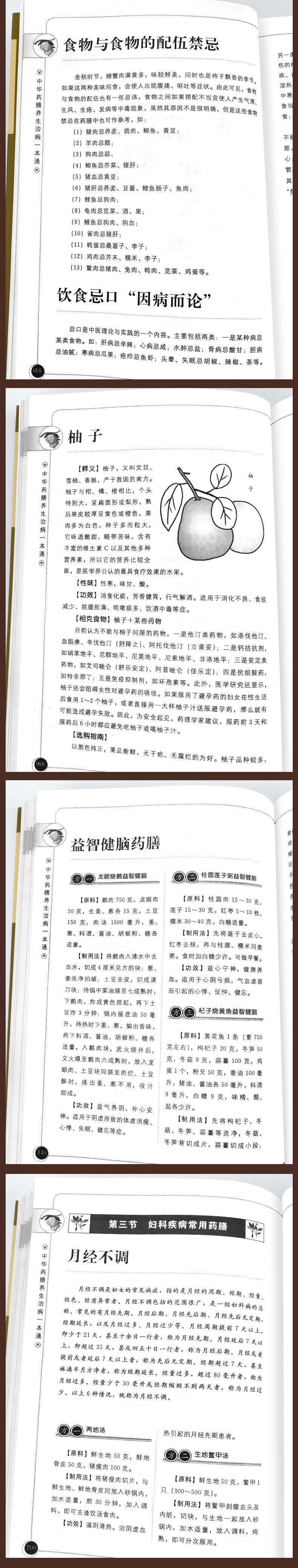 中华药膳养生治病一本通 张伟，满江 著 河北科学技术出版社