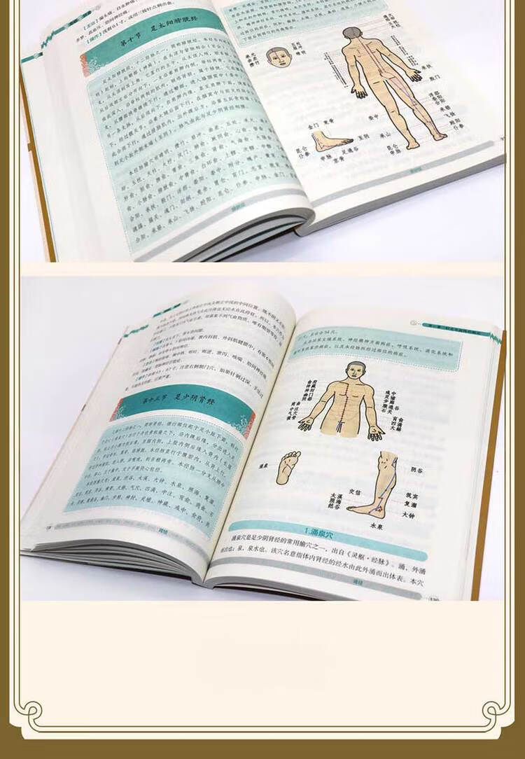 零基础学针灸 杨圆圆 著 中医古籍出版社