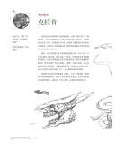 志怪图鉴：从神话故事到都市传闻怪物CG设计 黑子归 著 北京大学出版社