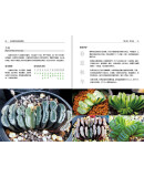 多肉植物活用轻图典 慢生活工坊 著 福建科学技术出版社